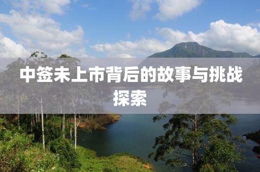 中签未上市背后的故事与挑战探索