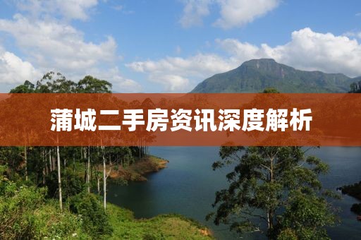 蒲城二手房资讯深度解析