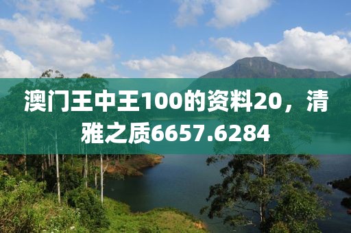澳门王中王100的资料20，清雅之质6657.6284