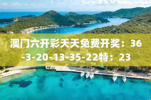 澳门六开彩天天免费开奖：36-3-20-13-35-22特：23