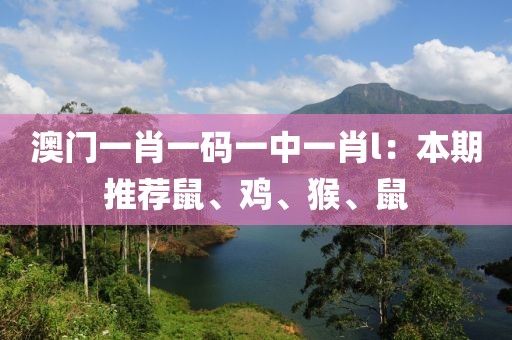 澳门一肖一码一中一肖l：本期推荐鼠、鸡、猴、鼠