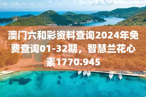 澳门六和彩资料查询2024年免费查询01-32期，智慧兰花心素1770.945