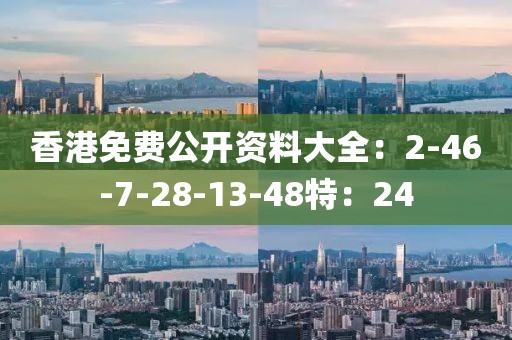 香港免费公开资料大全：2-46-7-28-13-48特：24