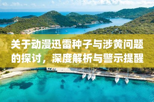关于动漫迅雷种子与涉黄问题的探讨，深度解析与警示提醒