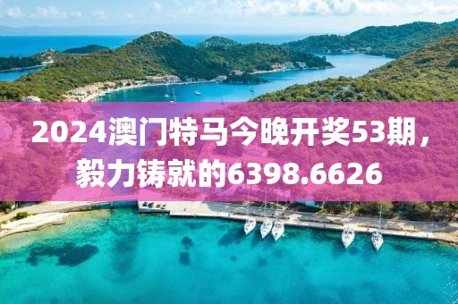 2024澳门特马今晚开奖53期，毅力铸就的6398.6626