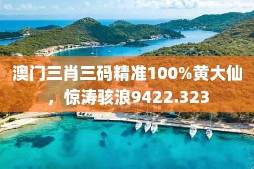 澳门三肖三码精准100%黄大仙，惊涛骇浪9422.323