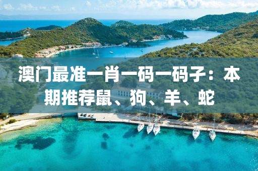 澳门最准一肖一码一码孑：本期推荐鼠、狗、羊、蛇
