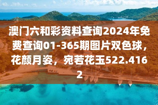 澳门六和彩资料查询2024年免费查询01-365期图片双色球，花颜月姿，宛若花玉522.4162