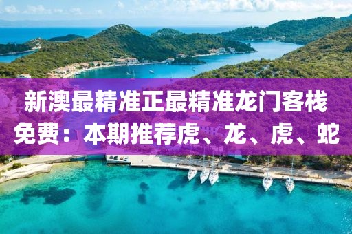新澳最精准正最精准龙门客栈免费：本期推荐虎、龙、虎、蛇