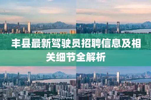 丰县最新驾驶员招聘信息及相关细节全解析