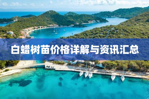 白蜡树苗价格详解与资讯汇总