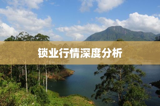 锁业行情深度分析