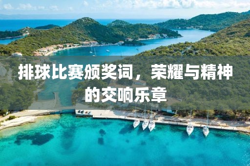 排球比赛颁奖词，荣耀与精神的交响乐章
