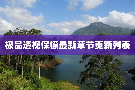 极品透视保镖最新章节更新列表