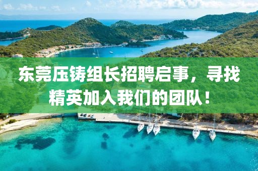 东莞压铸组长招聘启事，寻找精英加入我们的团队！