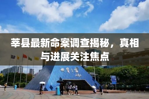 莘县最新命案调查揭秘，真相与进展关注焦点