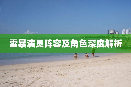 雪暴演员阵容及角色深度解析