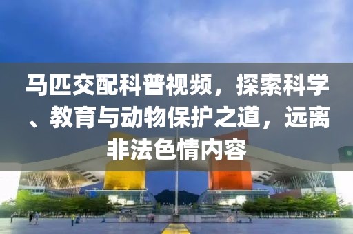 马匹交配科普视频，探索科学、教育与动物保护之道，远离非法色情内容