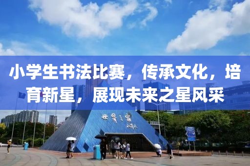 小学生书法比赛，传承文化，培育新星，展现未来之星风采