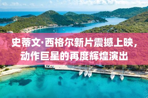 史蒂文·西格尔新片震撼上映，动作巨星的再度辉煌演出
