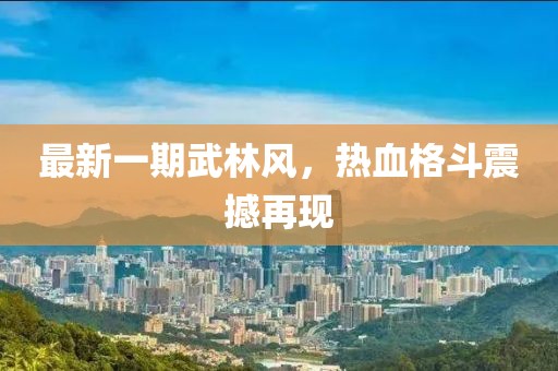 最新一期武林风，热血格斗震撼再现