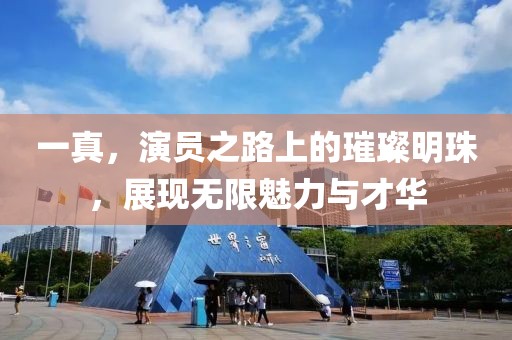 一真，演员之路上的璀璨明珠，展现无限魅力与才华
