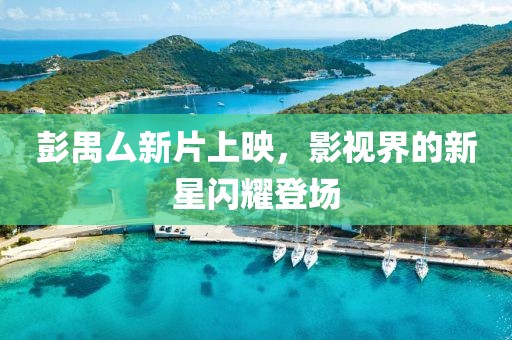 彭禺厶新片上映，影视界的新星闪耀登场