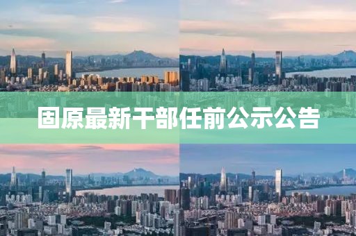 固原最新干部任前公示公告