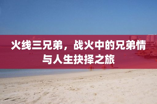 火线三兄弟，战火中的兄弟情与人生抉择之旅