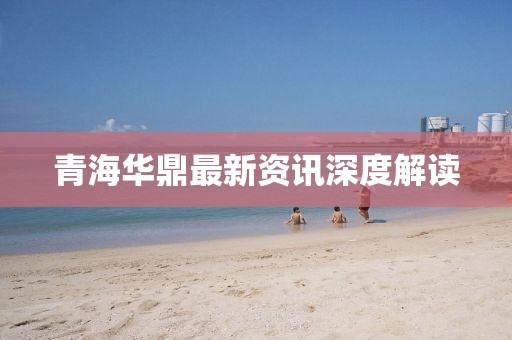 青海华鼎最新资讯深度解读