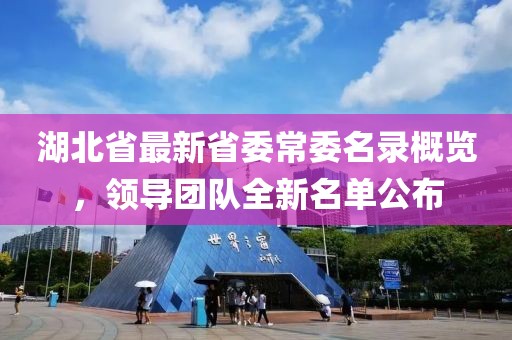 湖北省最新省委常委名录概览，领导团队全新名单公布