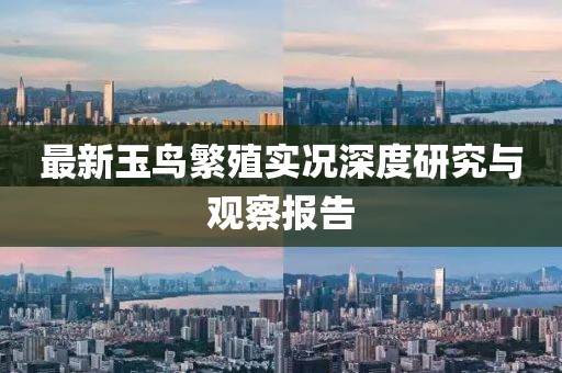 最新玉鸟繁殖实况深度研究与观察报告