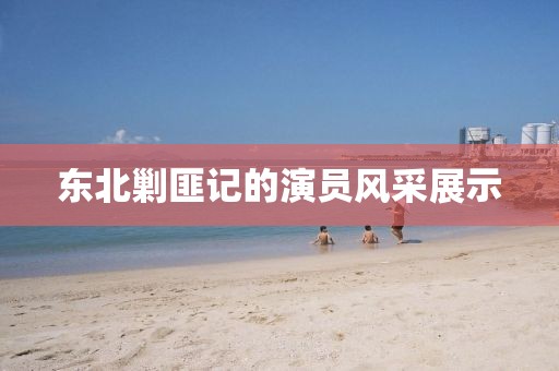 东北剿匪记的演员风采展示