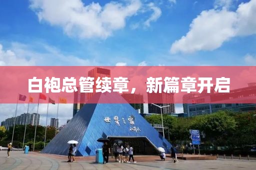 白袍总管续章，新篇章开启