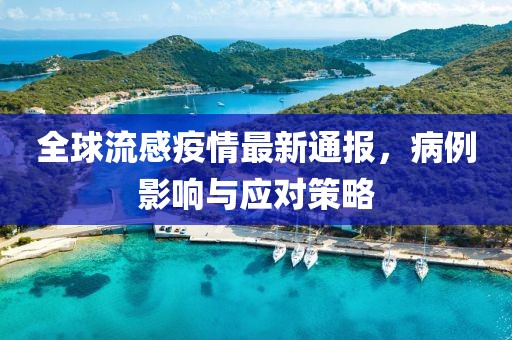 全球流感疫情最新通报，病例影响与应对策略