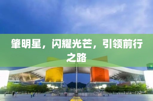 肇明星，闪耀光芒，引领前行之路
