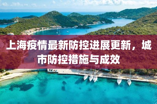 上海疫情最新防控进展更新，城市防控措施与成效