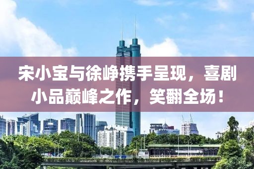 宋小宝与徐峥携手呈现，喜剧小品巅峰之作，笑翻全场！