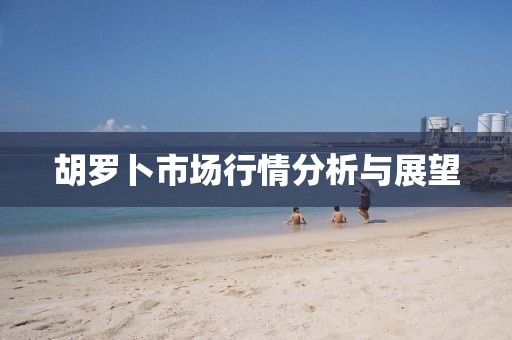 胡罗卜市场行情分析与展望