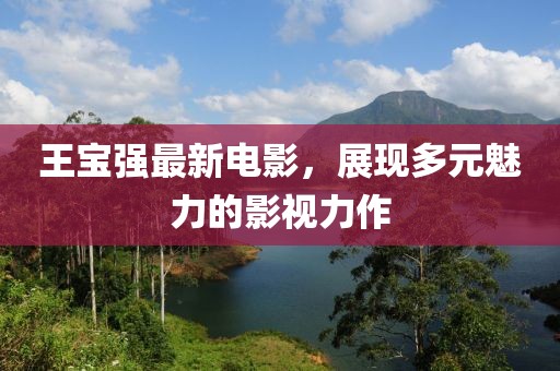 王宝强最新电影，展现多元魅力的影视力作