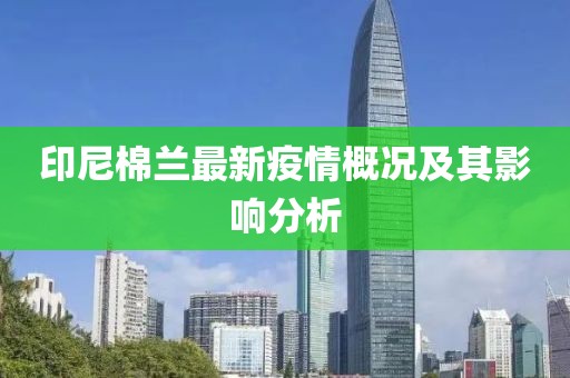印尼棉兰最新疫情概况及其影响分析