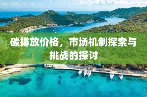 碳排放价格，市场机制探索与挑战的探讨