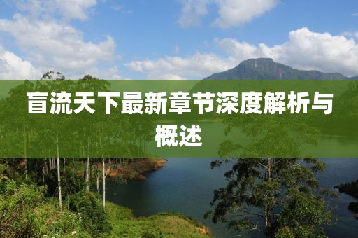 盲流天下最新章节深度解析与概述