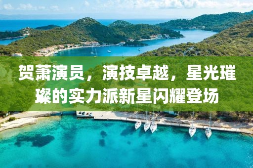 贺萧演员，演技卓越，星光璀璨的实力派新星闪耀登场