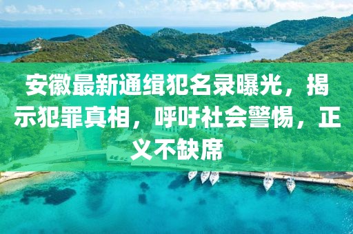 安徽最新通缉犯名录曝光，揭示犯罪真相，呼吁社会警惕，正义不缺席
