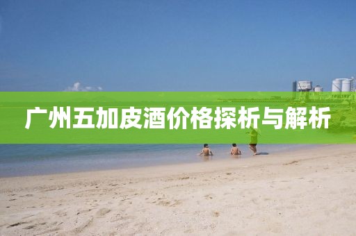 广州五加皮酒价格探析与解析
