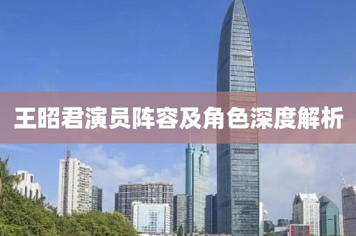 王昭君演员阵容及角色深度解析
