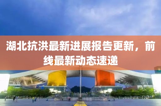 湖北抗洪最新进展报告更新，前线最新动态速递