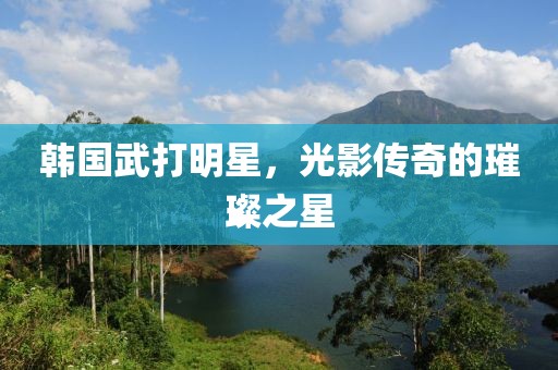 韩国武打明星，光影传奇的璀璨之星