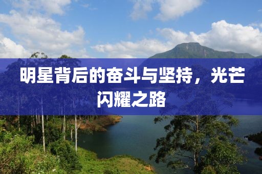 明星背后的奋斗与坚持，光芒闪耀之路